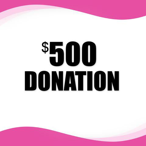 Your $500 donation can provide medical care and necessities for someone dealing with health concerns.